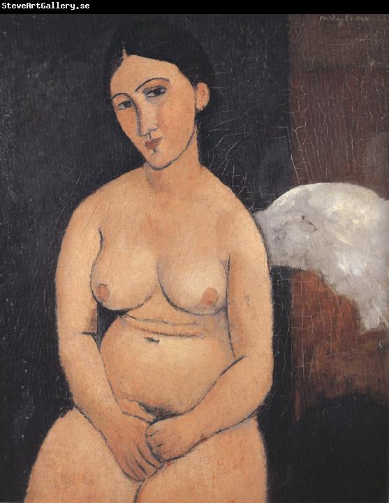 Amedeo Modigliani Seated Nude (mk39)